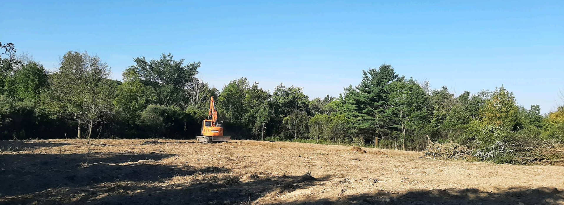 land-clearing-hero25 Land clearing